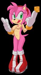 amy rose from sega by hotred