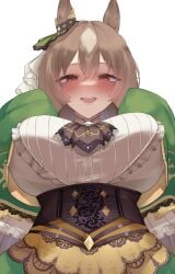 1girls absurdres animal_ears ascot blue_gem blunt_ends blush breasts brown_ascot brown_corset brown_eyes brown_hair chest_jewel commentary corset diamond_(shape) dress ear_ornament english_commentary female female_only frilled_shirt frilled_sleeves frills from_below gem green_dress hair_in_own_mouth highres horse_ears horse_girl large_breasts long_hair long_sleeves looking_at_viewer multicolored_hair open_mouth satono_diamond_(natural_brilliance)_(umamusume) satono_diamond_(umamusume) shirt simple_background sleeves_past_fingers sleeves_past_wrists smile solo streaked_hair two-tone_hair umamusume upper_body very_long_hair white_background white_shirt xkittyzx
