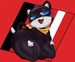 1boy 1femboy 2d anthro anthro_femboy atlus bandana bedroom_eyes belly big_ass big_ass_(male) big_butt big_hips big_thighs black_fur blue_eyes bottom_heavy bottom_heavy_femboy bottomwear cat_ears cat_tail catboy clothing digital_media_(artwork) dipstick_tail domestic_cat fangs fat_ass felid feline femboy femboy_focus femboy_only front_view fur furry girly gloves_(marking) half-closed_eyes headgear hi_res huge_ass huge_butt huge_hips huge_thighs inner_ear_fluff kneeling legwear looking_at_viewer male male_only mammal markings masked megami_tensei megami_tensei_persona morgana_(persona) mostly_nude multicolored_body multicolored_fur open_mouth persona persona_5 red_background seductive simple_background slightly_chubby smile solo tail thick_ass thick_thighs thighhighs tongue trap vvvvvooooooo white_fur wide_hips