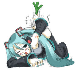 female hatsune_miku leek lowres masturbation tied_hair twintails vegetable_dildo vocaloid wince zettai_ryouiki