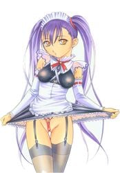 1girls blue_hair bondage breasts detached_sleeves elbow_gloves exhibitionism female garter_belt garters gloves hair_rings human large_breasts long_hair maid martian_successor_nadesico natural_wedgie nipples nishitsuki_tsutomu no_panties orange_eyes pale-skinned_female pale_skin purple_hair pussy ruri_hoshino see-through shaved_pussy skirt skirt_lift small_waist solo thigh_gap thighhighs thighs tied_hair twintails uncensored very_long_hair wedgie