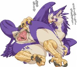 1girls anus ass blush blushing butt claws color curvy feathers female griffon japanese_text looking_at_viewer looking_back mythology nezumi open_mouth public_domain pussy spread_pussy spreading tail translation_request wet wet_pussy