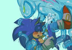 chaos (sonic) from sega by nyowa