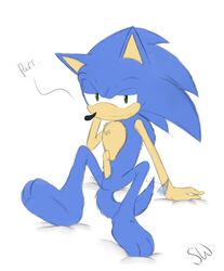 anthro blue_hair erection green_eyes hair hedgehog looking_at_viewer male male_only penis plain_background purring seductive seductive_look seductive_smile sega smile solo sonic_(series) sonic_the_hedgehog speeddemon tailwag video_games