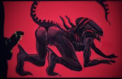 alien alien_(franchise) anus ass bodily_fluids chaomo cum duo eyeless genital_fluids genitals hi_res interspecies male male/male male_xenomorph spread_butt spreading xenomorph