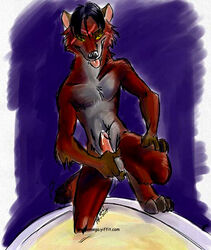 1boy amonomega anthro ball_fondling canine erection fur furry furry_only looking_at_viewer male male_only penis precum seductive solo testicles tongue wolf