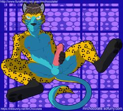 2013 anthro aroused balls barbs blue_eyes erection feline furry hair leopard looking_at_viewer male male_only masturbation mrchocolate nipples no_humans nude pawpads paws penis solo spread_legs spreading whiskers zelnyair