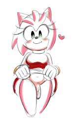 1futa amy_rose anthro belly_button dress_lift flaccid_penis furry futa_only futanari ninotrash no_panties penis sega sonic_(series)