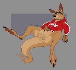 anatomically_correct anatomically_correct_genitalia animal_genitalia balls clothed clothing feral genitals hi_res jackie_legs kangaroo kangaroo_jack macropod male mammal marsupial raunchysurfeit red_kangaroo sheath solo