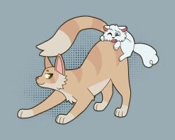 cloudtail (warriors) from warrior cats