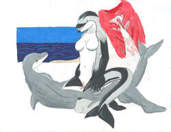 bottlenose breasts cetacean cum dolphin dreigiau-arian mammal marine messy nude pacific_white_sided pussy riding river trun