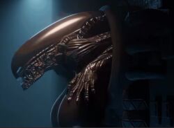 alien_(franchise) animated apulaz big_breasts black_body black_skin female_xenomorph tagme tail video xenomorph