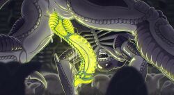 male xenomorph from alien (franchise) by crazmax