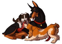 anatomically_correct anus balls canine canine_penis collar doberman fellatio feral floppy_ear gay group hindpaw klaus_doberman knot licking male marjani no_humans oral oral_sex paws penis plain_background sex springer_spaniel threesome tongue tongue_out white_background