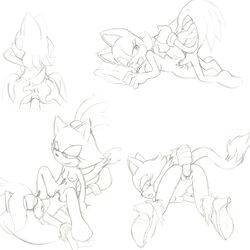 anthro blaze_the_cat dildo echidna female frozesolidfox fur knuckles_the_echidna male mammal masturbation monotreme penetration rouge_the_bat sega sex sex_toy silver_the_hedgehog sonic_(series) straight tagme vaginal_penetration