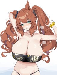breasts brown_hair hair long_hair looking_at_viewer maruzensky_(umamusume) umamusume