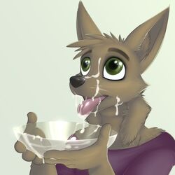 1boy anthro begging bowl canine clothing coyote cum cum_eating cum_in_mouth cum_on_face fatalfox fur furry gay gokkun green_eyes male no_humans scoop_neck_shirt shirt tongue