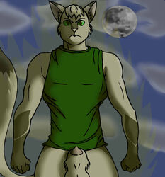>:( drawing face furrycatman male penis