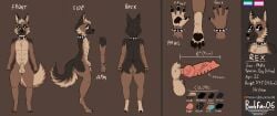 2025 animal_genitalia anthro artist_name balls boobfan06 bracelet brown_background canid canine canis collar color_swatch domestic_dog ear_piercing ear_ring eyelashes eyeshadow femboy flat_colors fluffy fluffy_tail fur genital_piercing genitals german_shepherd herding_dog heterochromia hi_res jewelry knot knotted_penis makeup male mammal model_sheet multicolored_body multicolored_fur nude_male pastoral_dog pawpads paws penis penis_piercing piercing pointy_ears pride_color_flag pronouns rex_(boobfan06) ring_piercing sheath simple_background solo solo_focus spiked_bracelet spiked_collar spikes tail text