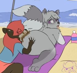 2019 anal anthro artist_name ass beach beach_towel beach_umbrella big_butt blue_clothing blue_shirt blue_topwear bottomwear brown_body brown_fur butt_grab canid canine canis clothed clothing dated day dirty_rimming duo eye_through_hair facial_tuft feces feces_in_mouth feces_on_body feces_on_butt feces_on_face fur grey_body grey_fur grey_hair hair hand_on_butt hi_res looking_at_another looking_back looking_back_at_another male male_rimming_male mammal markings narrowed_eyes nude_anthro nude_male open_mouth oral parasol procyonid purple_eyes raccoon raised_tail red_bottomwear red_clothing red_hair red_shorts rimming rimming_male sand scatplay sex shirt shorts sound_effects striped_body striped_fur striped_markings striped_tail stripes tail tail_markings text tongue tongue_out topwear towel translucent translucent_hair tuft water wave white_body white_fur wolf zabi_(zabish) zadirtybish