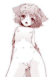 animal_ear blush cute_fang female flat_chest kyouko_kasodani monochrome navel nude open_mouth pussy short_hair solo takara_akihito touhou