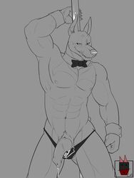 1boy anthro bow_tie canine cuffs dancing doberman erection fur furry linkin_monroe looking_at_viewer male male_only penis pole pole_dancing precum solo thong