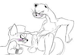 anthro balls black_and_white erection eyewear furry gay glasses male military monochrome mulmangcho nude penis sakara sketch squirrel_and_hedgehog weasel weasel_commander