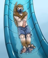 1boy aggrobadger anthro anthro_only erection furry furry_only human humanoid_penis male male_only mustelid otter penis solo swimsuit topless transformation water water_slide