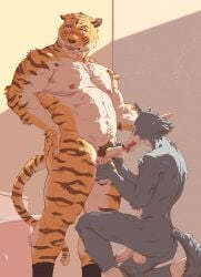 2024 absurd_res anthro anthro_on_anthro areola ball_grab balls barazoku beastars big_balls bill_(beastars) biped black_clothing black_footwear black_socks blush bodily_fluids brown_body brown_fur canid canine canis chest_tuft closed_eyes clothing colored dripping duo erection felid fellatio fingers footwear footwear_only foreskin full-length_portrait fur genital_fluids genitals glans hand_on_hip hi_res holding_penis humanoid_genitalia humanoid_hands humanoid_penis interspecies kneeling_oral_position legoshi_(beastars) licking looking_aside looking_down low-angle_view male male/male mammal markings mostly_nude mostly_nude_anthro mostly_nude_male musclegut muscular muscular_anthro muscular_arms muscular_legs muscular_male navel nipples open_mouth oral orange_body orange_fur pantherine partially_retracted_foreskin penile penis penis_lick pinup portrait pose precum precum_drip pubes sadness_hao saggy_balls saliva saliva_drip sex shaded shy simple_background socks socks_only standing striped_markings stripes tail tan_background tan_body tan_fur three-quarter_view tiger tongue tuft vein veiny_penis wolf