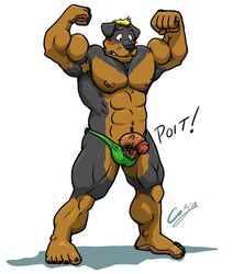 abs balls biceps blonde_hair blush canine chestnuts_(artist) flexing furry hair male male_only muscles pecs penis pose rottweiler solo speedo thong underwear wardrobe_malfunction