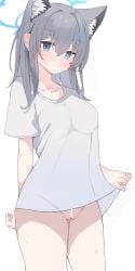 shiroko (blue archive) from blue archive by nui (nuinui0300)
