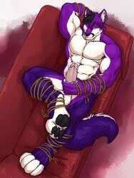 1boy abs anthro armchair balls biceps big big_penis blue_eyes canine ear_piercing erection folf fox fur grisser hair handjob humanoid_penis hybrid looking_at_viewer male male_only mammal muscles nude paws pecs penis piercing pose purple_fur rope shyloc solo wolf