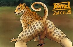 1boy 2017 anthro anus ass balls censored dated furry furry_only gay leopard male male_only original penis solo tagme therianthrope to-ma yaoi