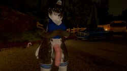 Vrc Rule 34 Image