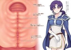 1girl absurdres armor armored_dress blue_armor blue_cape breastplate cape cervix circlet commentary_request commission cross-section curtained_hair dress fire_emblem fire_emblem:_the_binding_blade gloves highres juno_(fire_emblem) looking_at_viewer pipi20211026 pixiv_commission pointing_out_the_details ponytail purple_eyes purple_hair shoulder_armor solo translation_request white_background white_gloves