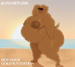 anthro axoarts beach_background casual_nudity chubby chubby_male dog furry furry_male large_belly large_breasts manboobs naked one_hand_behind_head small_penis small_tail sunglasses sunset tongue_out