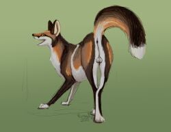 2024 anus ass backsack balls brown_body brown_fur butt_focus canid canine colored cross_fox digital_drawing_(artwork) digital_media_(artwork) fangs feral fox fur genitals gradient_background hi_res male mammal raised_tail realistic_feral red_body red_fox red_fur regsmutt simple_background smile solo tail tail_anus teeth true_fox white_body white_fur