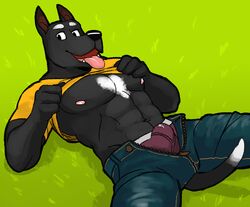 1boy anthro black_nose bulge canine fur furry genchi jeans male male_only nipples purple_underwear solo underwear