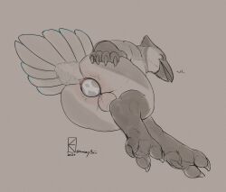 anthro ass avian balls beak bird claws egg egg_laying feathers feet genitals hi_res kazzyboii lying male male_focus on_side pregnant pregnant_anthro pregnant_male presenting presenting_hindquarters solo tail tail_feathers talons toes