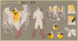 animal_genitalia anthro anus avian avian_slit beak bird gem_(gembirb) genital_slit genitals hi_res male model_sheet penis smile solo western_meadowlark wolfsniper