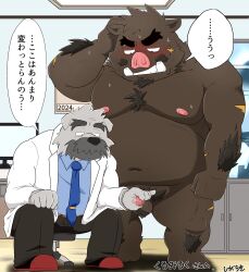 2024 anthro balls blush bottomwear brown_body canid canine canis censored clothing detailed_background domestic_dog duo facial_hair genitals grey_body hi_res inside japanese_text kemono male mammal moobs moustache navel necktie nipples overweight overweight_male pants penis scar shibatanukiti shirt sitting suid suina sus_(pig) text topwear wild_boar