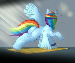 anus equine fatalfox female feral friendship_is_magic horse my_little_pony pussy rainbow_dash_(mlp) straight_hair tagme