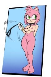 2025 amy_rose blush bondage breasts collar collar_only digital_drawing_(artwork) digital_media_(artwork) eulipotyphlan female fours_(artist) fourssss genitals green_eyes hedgehog hi_res leash leashed_collar mammal multicolored_body nipples nude nude_anthro nude_female pink_body pussy sega simple_background solo sonic_(series) sonic_the_hedgehog_(series) two_tone_body vulva
