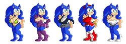 amy rose from sega by cuisine