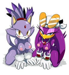 blaze the cat from sega by sssonic2