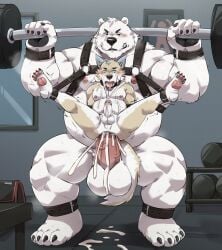 absurd_res anal anal_sex anthro athletic_wear balls bear belly big_balls big_belly big_penis blush bodily_fluids canid canine canis cum cum_drip cum_in_ass cum_inside cum_on_ground dripping duo ejaculation erection exercise feet fur genital_fluids genitals gym hi_res jumperbear larger_male male male/male mammal muscular musk musk_clouds nipples nude orgasm orgasm_face overweight overweight_anthro overweight_male pecs penetration penis polar_bear sex shaking size_difference smaller_male spread_legs spreading sweat ursine weightlifting white_body white_fur wolf workout