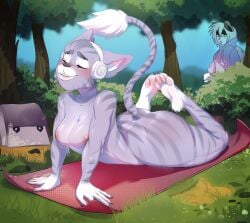 anthro canid canine canis digital_media_(artwork) domestic_cat domestic_dog felid feline felis female hi_res invalid_tag male mammal nsfw nude olenchik solo yoga youga