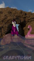 3d_(artwork) anthro avian bird blender_cycles blue_beans blue_sky bodily_fluids claws cloud crazypigsam cum cum_on_belly cum_on_body cum_on_tip digital_media_(artwork) flamingo genital_fluids hair hi_res inflatable male mammal mustelid on_rock otter otter_penis pool_toy purple_body purple_eyes purple_hair rock sea sea_otter seashell shell sitting sitting_on_rock sky solo stone_wall wall_(structure) water whiskers
