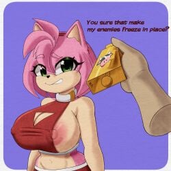 absurd_res amy_rose anthro bell big_breasts breasts cleavage clothed clothing duo eulipotyphlan female hedgehog hi_res looking_at_viewer mammal mister_axolotl nipples sega sonic_(series) sonic_the_hedgehog_(series)
