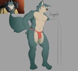 1boy anthro anthro_male anthro_only athletic athletic_anthro athletic_male beastars blue_body blue_fur brown_nose bulge bulge_through_clothing bulge_under_clothes canid canine character_name clothes digital_drawing_(artwork) digital_media_(artwork) fit fit_male fur furry furry_male furry_only gabeccoon gradient_fur gray_background grey_background hand_on_hip jpeg legoshi_(beastars) male male_anthro male_furry male_nipples male_only navel no-human no_human no_humans no_visible_genitalia only_furry only_male plain_background red_speedo red_thong reference_image scar scar_over_eye simple_background smiley_face solo solo_anthro solo_furry solo_male speedo speedo_only standing standing_up suggestive tail thong thong_only two_tone_fur wolf